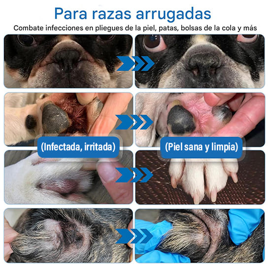 Crema para las arrugas de los perros: alivia, hidrata y protege cada pliegue 🐶