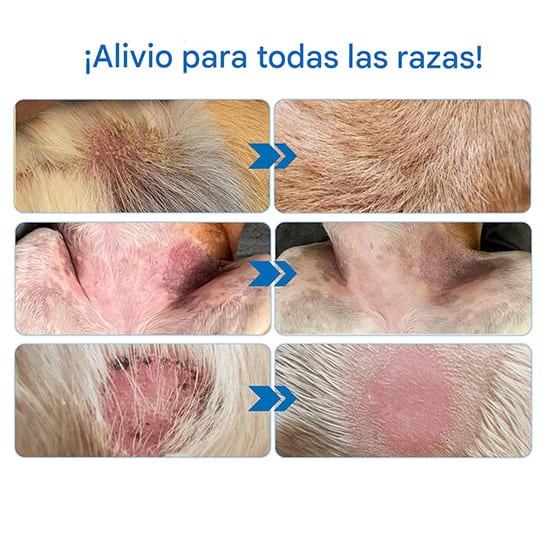 Crema para las arrugas de los perros: alivia, hidrata y protege cada pliegue 🐶
