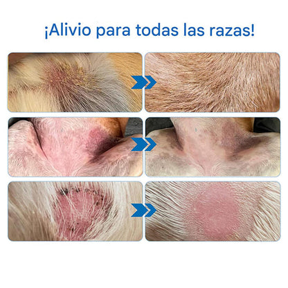 Crema para las arrugas de los perros: alivia, hidrata y protege cada pliegue 🐶