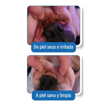 Crema para las arrugas de los perros: alivia, hidrata y protege cada pliegue 🐶